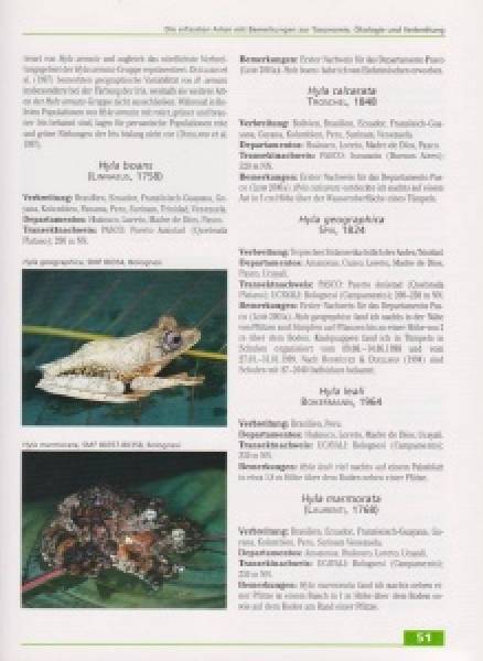 Amphibien und Reptilien in Peru